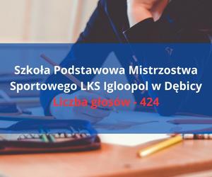 „Podstawowa Szkoła Roku 2024” na Podkarpaciu. Znamy zwycięzców 