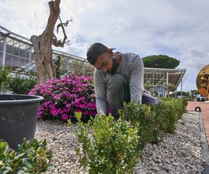 W Castel Gandolfo powstał ośrodek edukacyjny i gospodarstwo Laudato Si