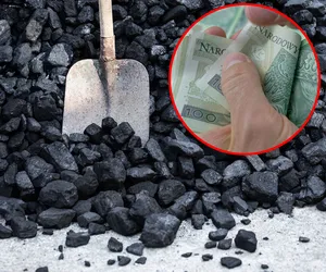 Ceny węgla mogą spaść. Ile obecnie płacimy za tonę?
