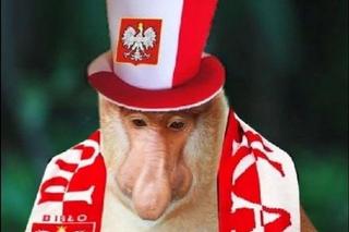 MEMY po meczu Polska - Francja na MŚ 2022. Internet oszalał