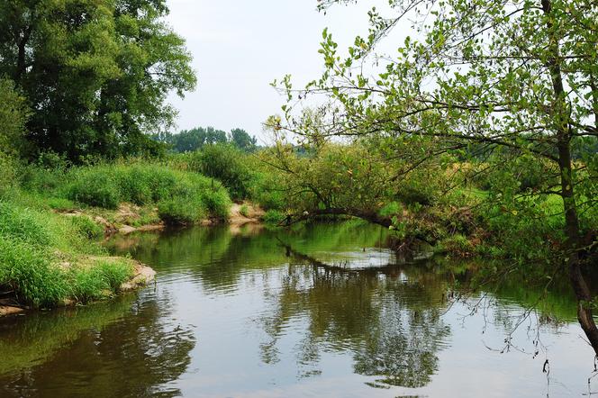 Przyroda w łódzkiem