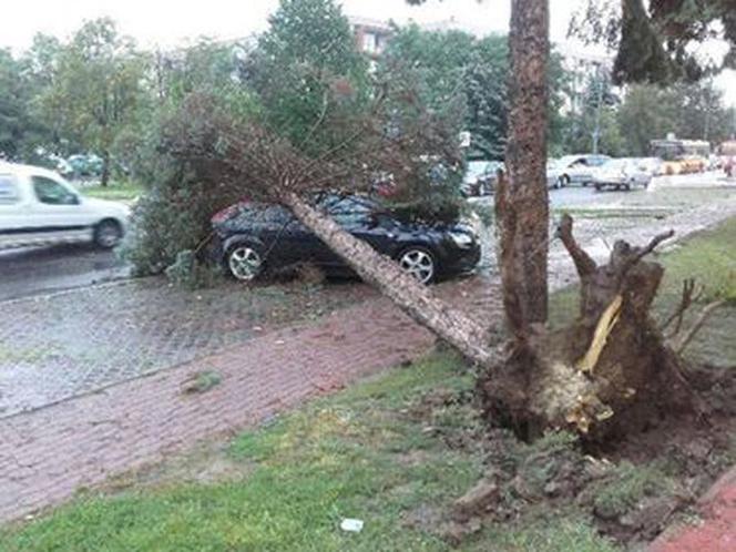 Skutki burzy w Rzeszowie