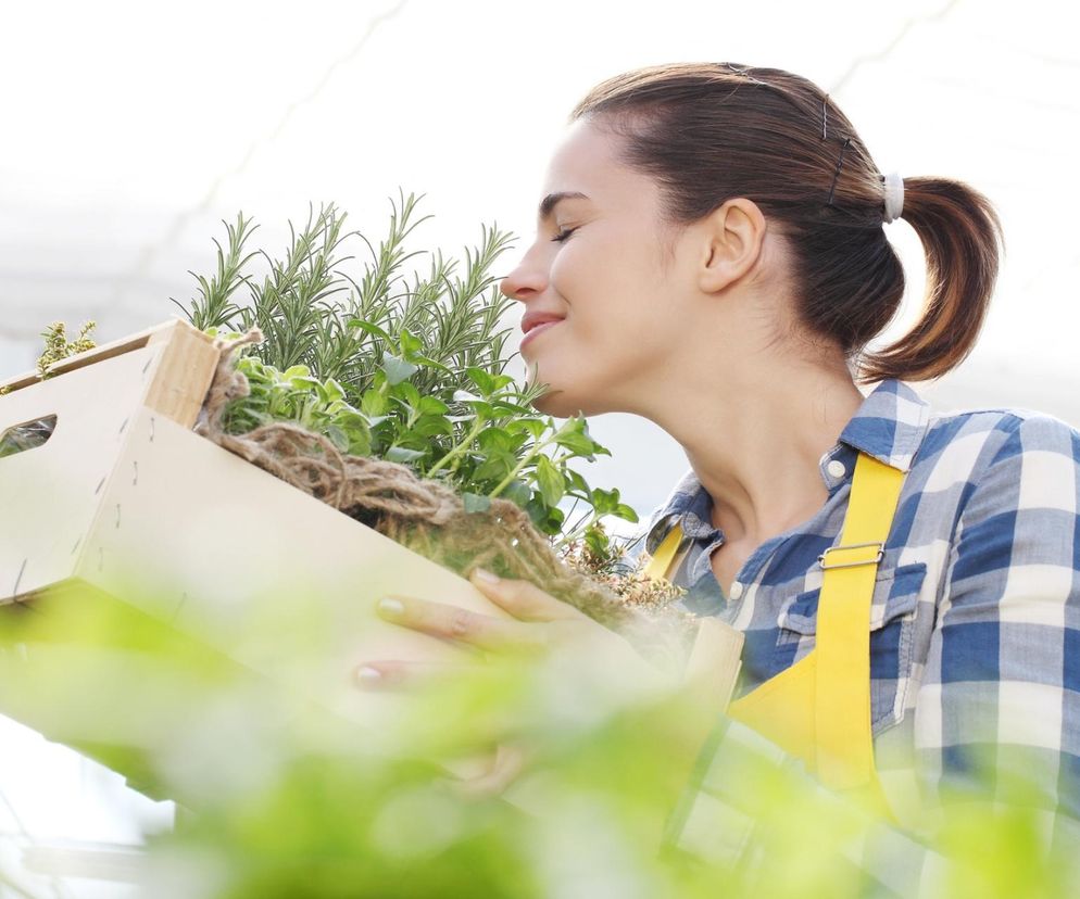Popularna przyprawa może pomóc chorym na alzheimera? Duże korzyści dla mózgu