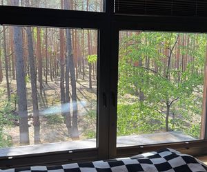 Julia Wieniawa zamieszkała w lesie