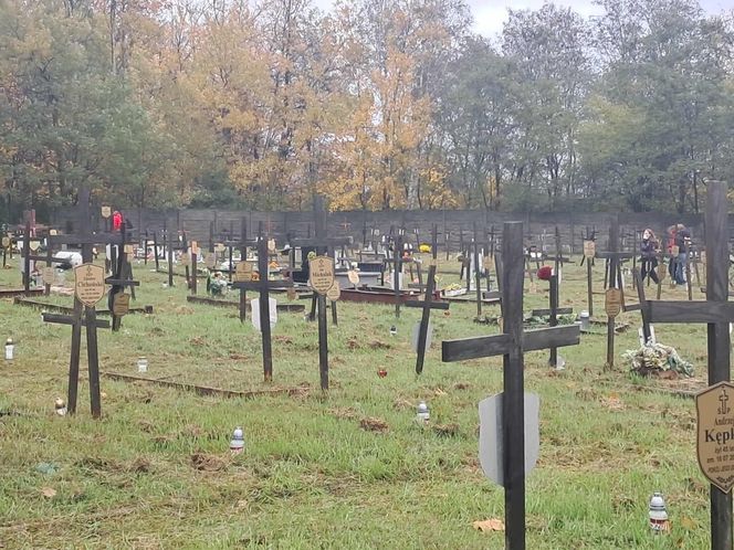 Rekordowa akcja "Światełko Pamięci". Uczniowie z Łodzi porządkowali opuszczone groby