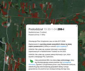 Wycinka lasów w Szczecinie i regionie 