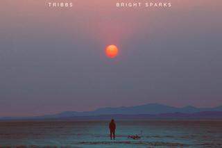 Tribbs, Bright Sparks - Stay All Night