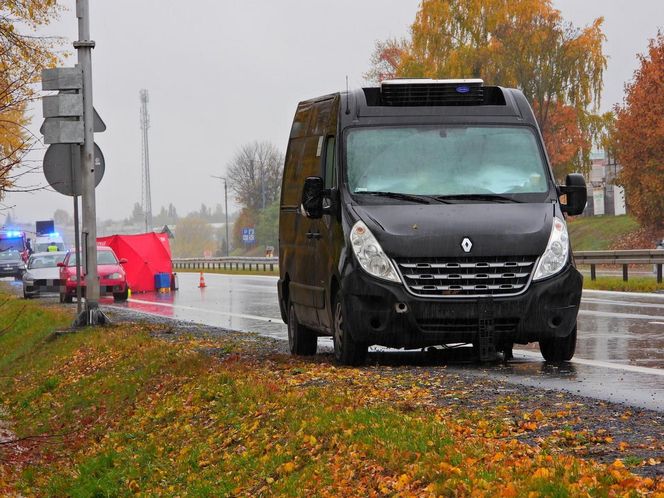 Zwłoki na drodze w Tarczynie. Policja szuka świadków