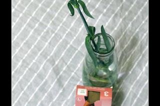 memy na Dzień Kobiet