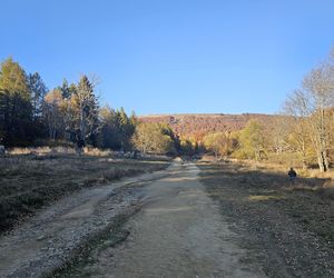 Bieszczady na jesień 