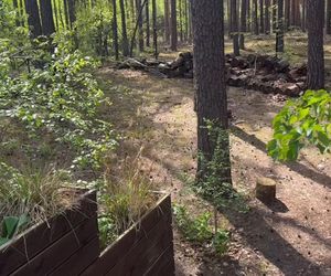 Julia Wieniawa zamieszkała w lesie