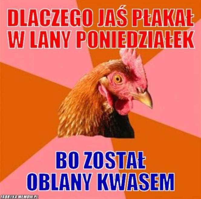 Lany Poniedziałek memy