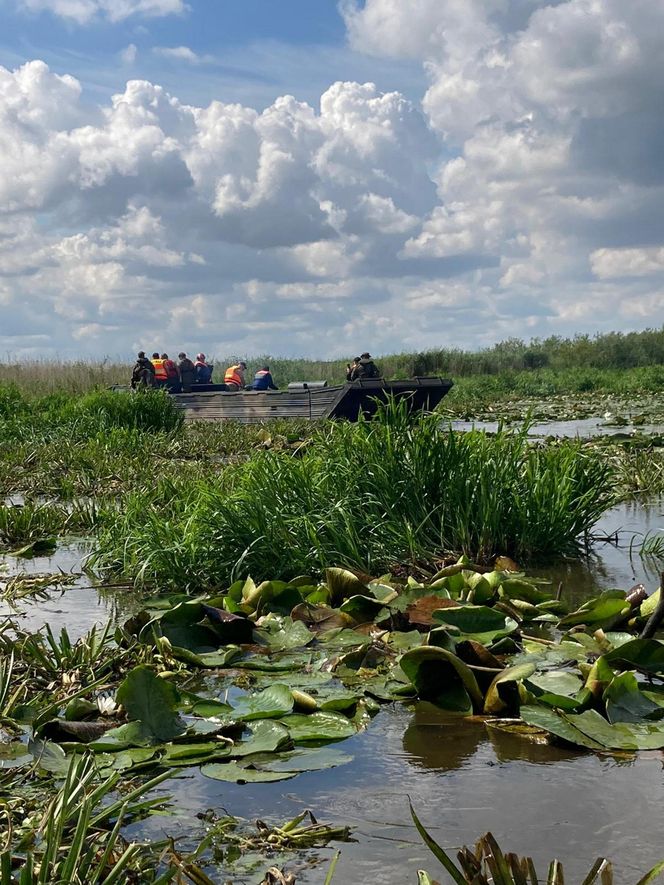 Zły stan wałów na Żuławach. „Są jak gąbka”