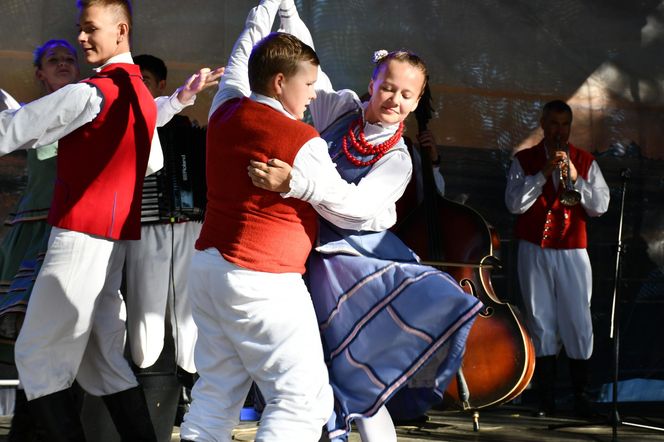 Tłumy na dożynkach w Olsztynku. Zobacz, jak wyglądało tegoroczne święto plonów