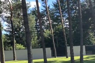 Barwy szczęścia. Dominika (Karolina Chapko) w willi Stawickiego