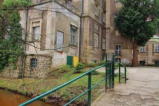 Park Dworski w Iłowej walczy o tytuł Cud Polski 2024. Co wiemy o tym miejscu?