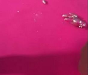 Pudelek Pink Party 2025 - Paulina Smaszcz, Marianna Schreiber.