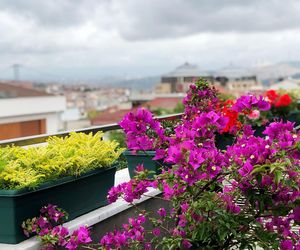 Balkon pod koniec lata