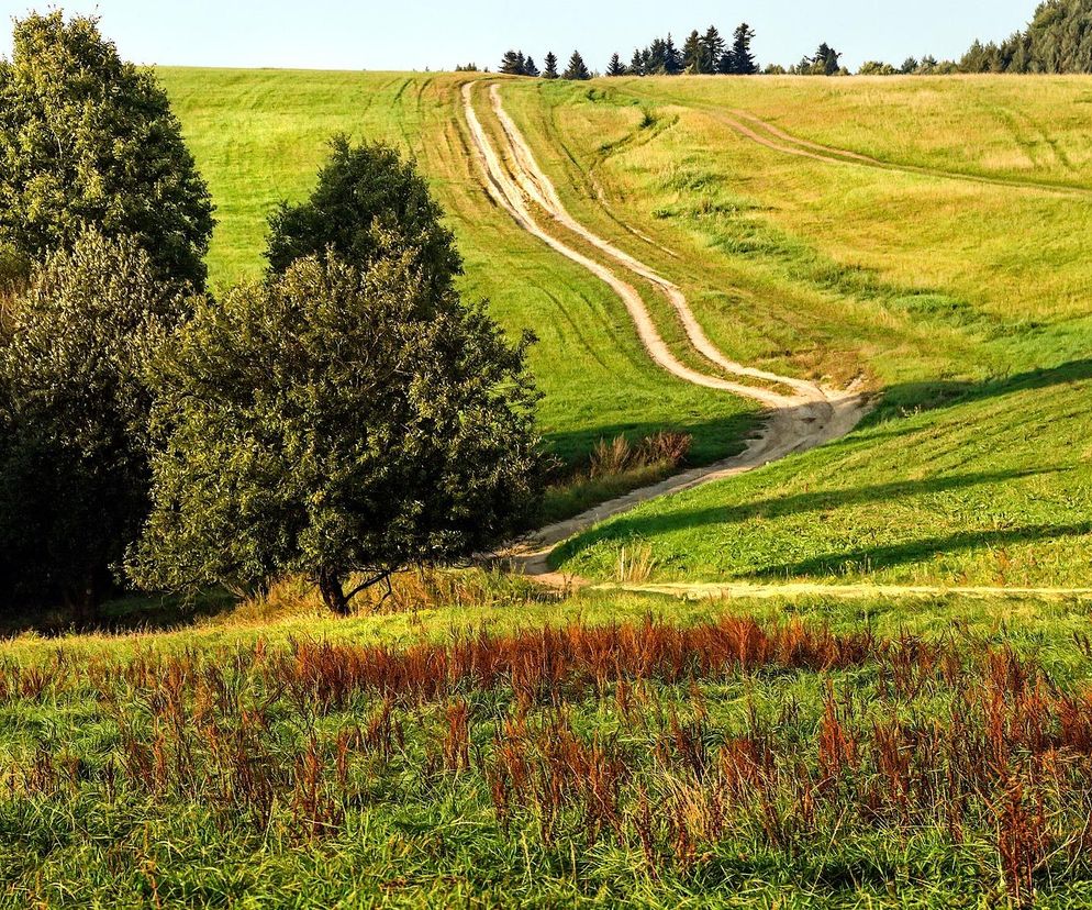 Z tych pagórków rozciąga się piękny widok na okolicę. Kujawsko-pomorskie to nie tylko nizina [GALERIA]
