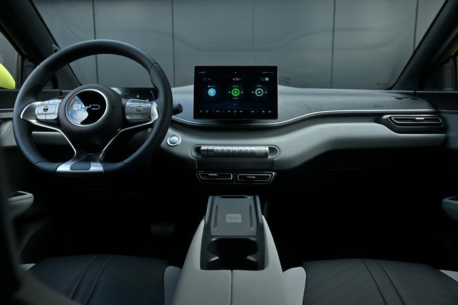 BYD DOLPHIN SURF