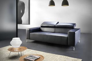 Meble do apartamentu: sofa Bloor