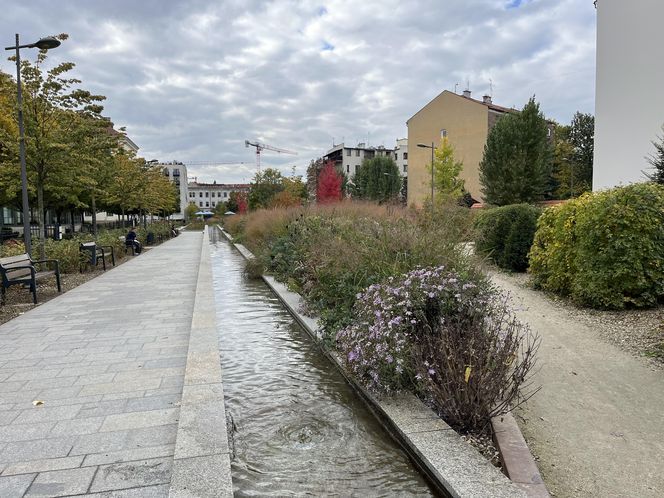 Park im. Wisławy Szymborskiej w Krakowie