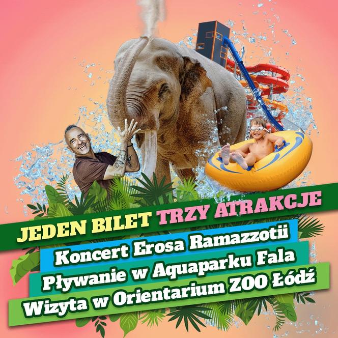 Wielkie majówkowe emocje. Co zaoferuje Orientarium, Aquapark Fala i Atlas Arena?