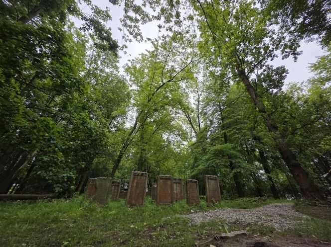 Cmentarz żydowski w Leżajsku