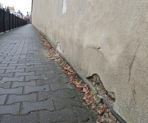 Z muru zabytkowego lapidarium w Lesznie znów odpada tynk