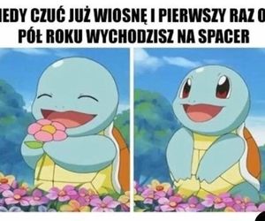 Wiosna 2025: Memy opanowały internet! Zobacz najzabawniejsze memy na powitanie wiosny [21.03.2025]