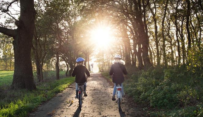 Transwielkopolska Trasa Rowerowa