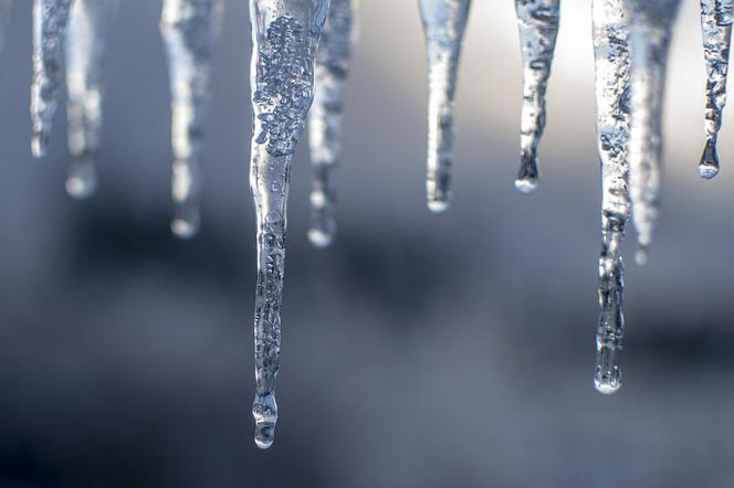 Mroźny tydzień w Bydgoszczy