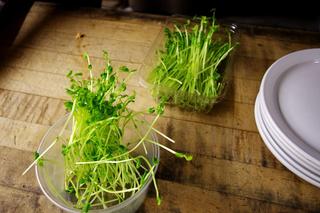 Produkty, których ekspert by nie wsadził do koszyka