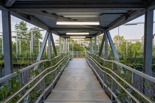 Kampus CD Projekt na Pradze - pierwsze zdjęcia