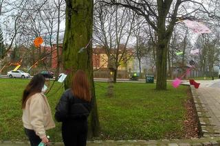 Światowy Dzień Poezji w Szczecinie