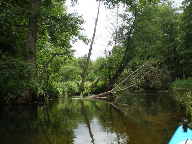Czarna Hańcza