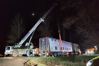 Mogilno. Ciężarówka z żywymi kurczakami wpadła do rowu [ZDJĘCIA]