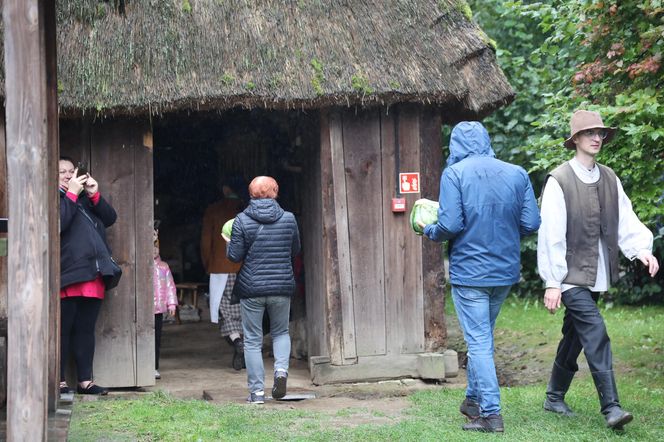 Tak ongiś siekano kapustę w woj. lubelskim. „Obieraczki kapuściane” w Muzeum Wsi Lubelskiej