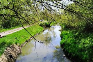 Miasto pozyskało 5 milionów złotych na rewitalizację terenów nad Mleczną i okolicach Piotrówki 