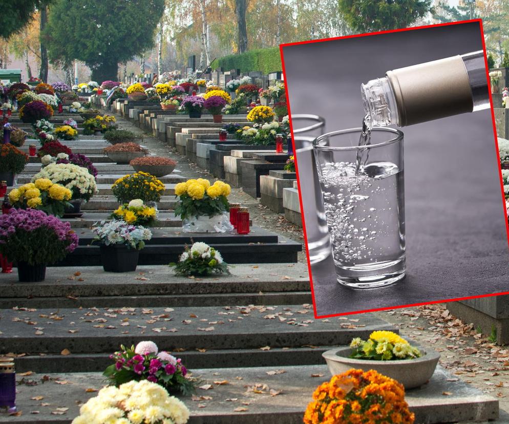 Potężny skandal na cmentarzu na Dolnym Śląsku. Kompletnie pijani sprawcy i starcie z policją. Zadyma jak na meczu