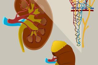 Ceny korepetycji 2023 w Zielonej Górze