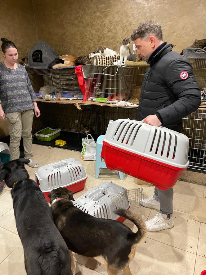 Znana pisarka, biznesmen z Holandii i menadżerka gwiazd zawieźli dary dla Ukrainy i uratowali koty