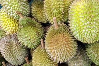 Durian – cuchnący obiekt pożądania. Co warto o nim wiedzieć?