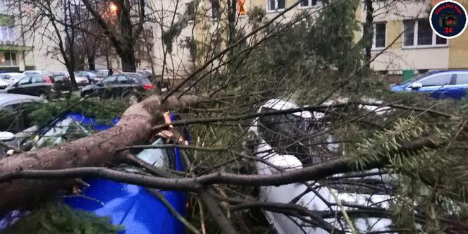 Dudley sieje zniszczenie w Warszawie. Powyrywane drzewa runęły na auta