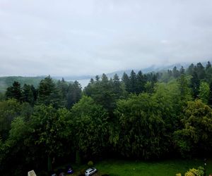 Kawiarnia Widokowa w Polańczyku Perła Bieszczadów.