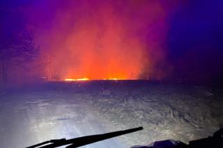 9 hektarów w ogniu! Zagrożona była farma