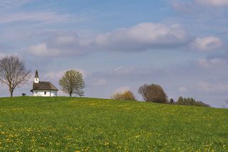 Brak większych lasów