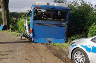 Wypadek autobusu PKS pod Słupskiem! Kierowca był pijany [ZDJĘCIA]
