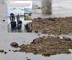 Wyschnięta Wisła odsłoniła zabytkowe wagoniki i fragment Villa Regia. Wyjątkowe odkrycie w Warszawie