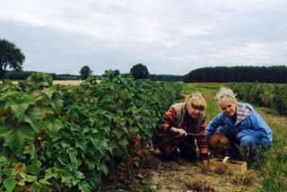 Biedrzyńska wspiera Sienkiewicz w walce z rakiem